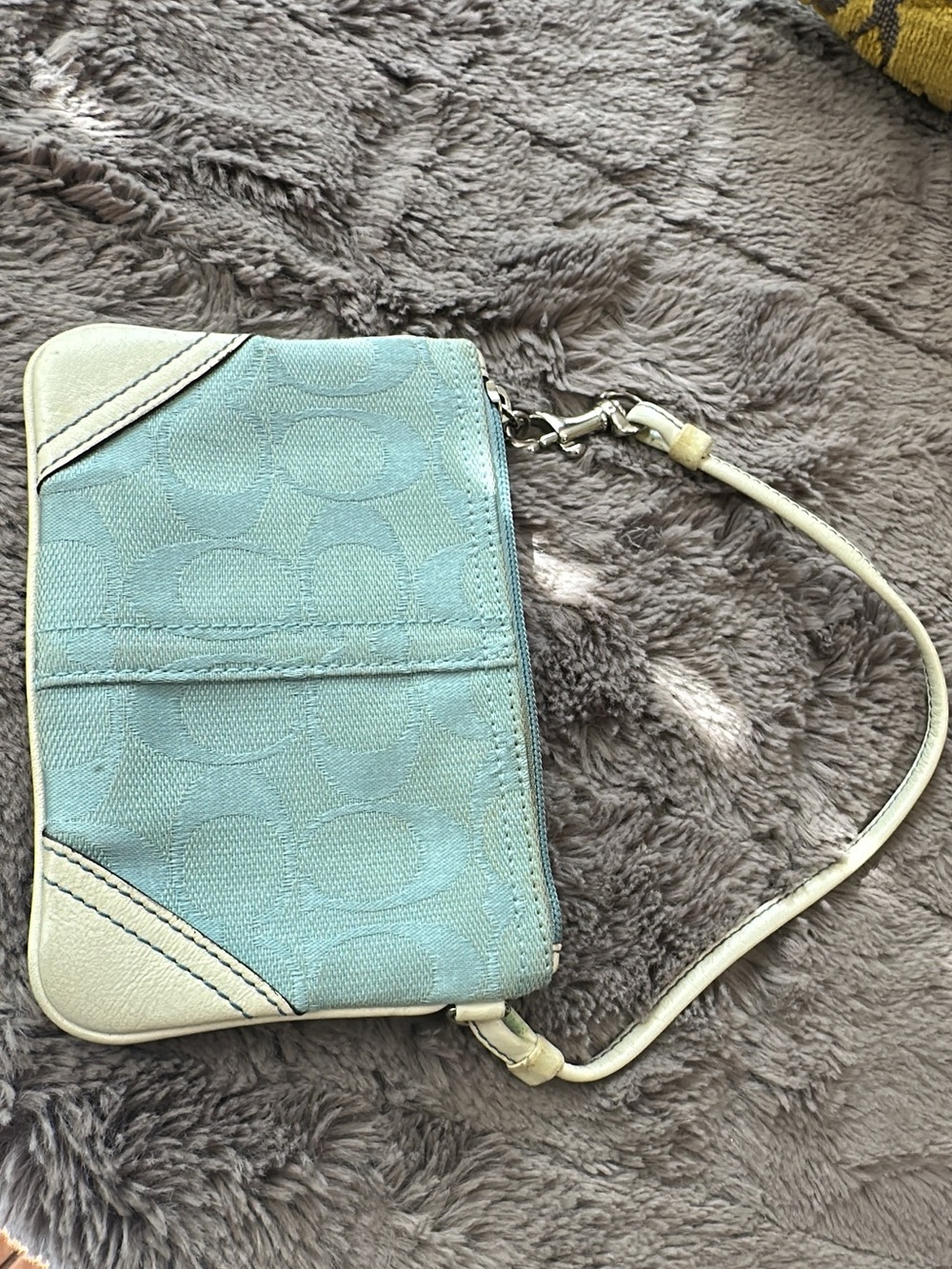 Coach Vintage Wristlet Tiffany Blue Signature Demi Jacquard
Y2K Leather (bags21)